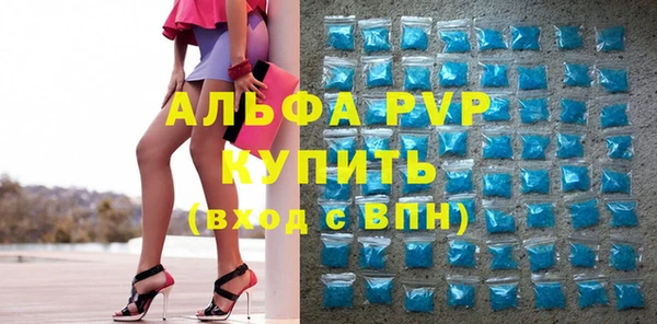 гидра Долгопрудный