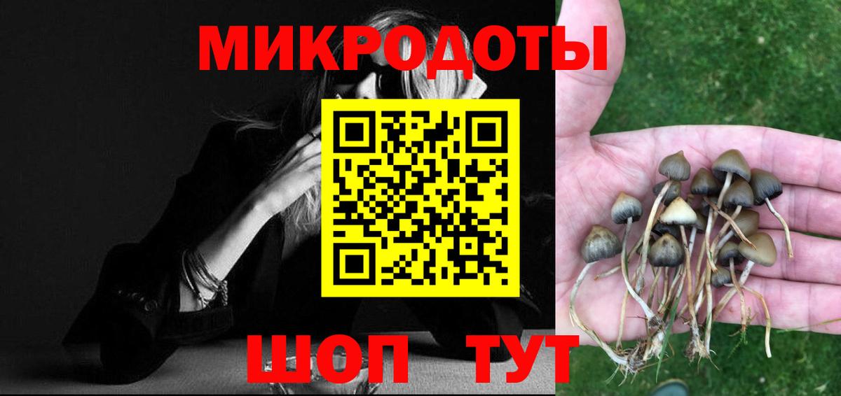 Псилоцибиновые грибы Magic Shrooms Ливны
